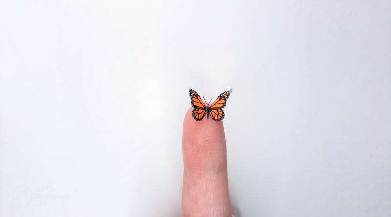 Bióloga cria miniaturas da natureza menores que a ponta de um lápis