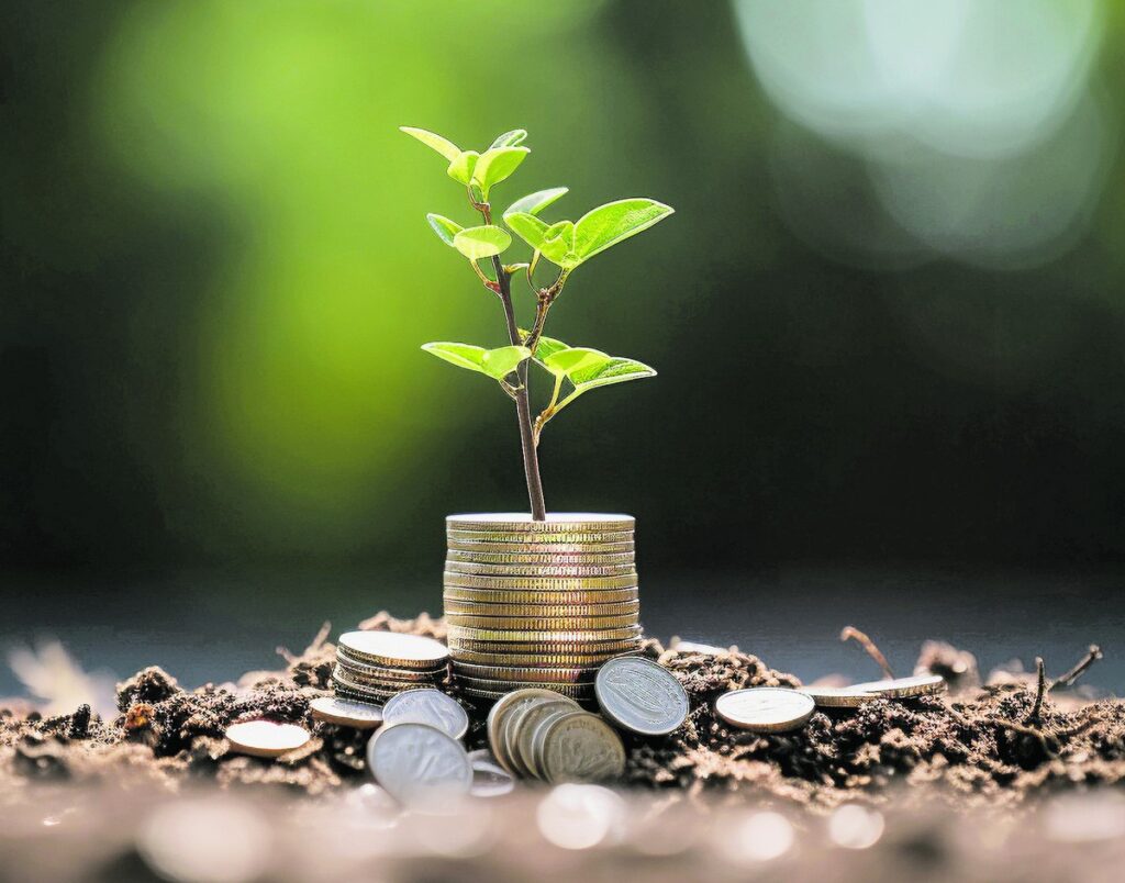 A bioeconomia como política de Estado