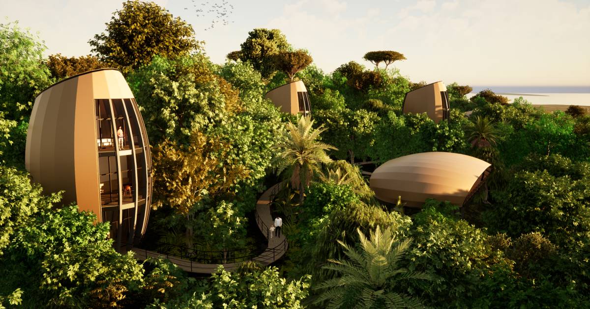 Entrevista: a natureza como projeto