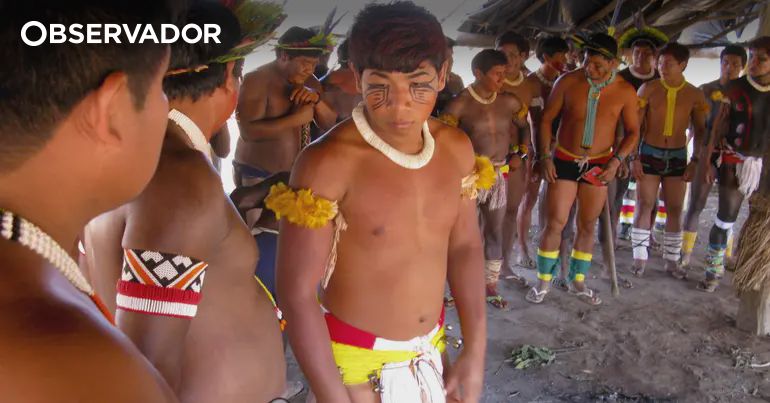 Brasil. Governo obrigado a garantir transporte a indígenas